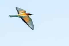 DSC_1936 Foto: Skåne