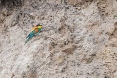 DSC_2010 Foto: Skåne