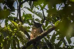 Fotograferet i Nepal