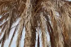 20161128_061206