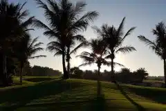 20161129_134115