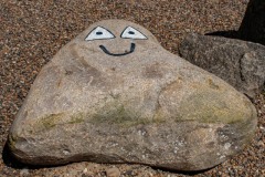 DSC_5986 Foto taget i Nordjylland