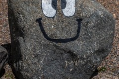 DSC_5987 Foto taget i Nordjylland