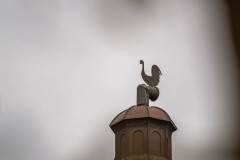 DSC_6164 Foto taget i Nordjylland