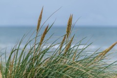 PH83459 Foto i Nordjylland