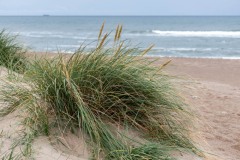 PH83460 Foto i Nordjylland