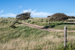 PH83575 Foto taget i Nordjylland