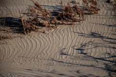 PH83622 Foto taget i Nordjylland