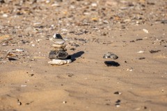 PH83654 Foto taget i Nordjylland