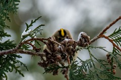PHL0400 Fotograferet ved Bognæs