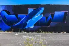 Flot Graffiti