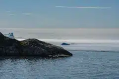 2021-08-03-20.19.45