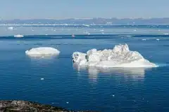 2021-08-04-12.05.07