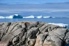 2021-08-05-12.51.13