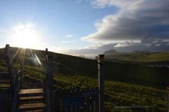 Aftensol-ved-Puffin-lookout-sydlige-Vestmannaeyjar