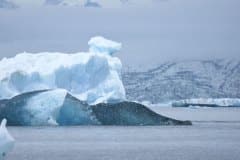 DSC_2860 Jökulsárlón Gletsjer