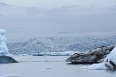 DSC_2885 Jökulsárlón Gletsjer