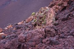 DSC_4244 Vulkan Eldfell-Vestmannaeyjar