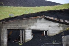 Hus-begravet-i-lava-Vestmannaeyjar