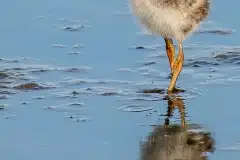 Fotograferet ved Tempelkrog