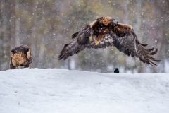 DSC4457 Taget i Kalvträsk, Sverige