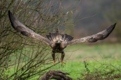 PH88973 Foto taget i Sverige