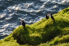 Fotograferet på Vestmannaeyjar, Island
