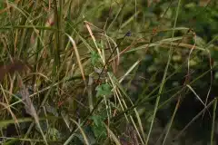 Fotograferet i Nepal