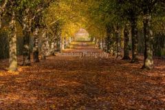 Natur fotografering