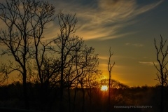 DSC_1039Solopgang