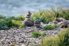 DSC_6311 Varde