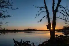 Solopgang ved Gundsømagle sø