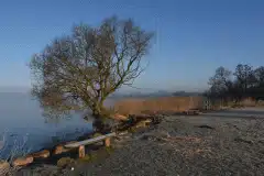 Arresø en frostklar morgen