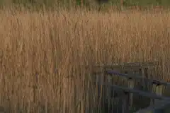 Fotograferet ved Gundsømagle sø