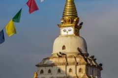 NEP_4405 Swayambhunath-stupaen, Abetemplet i Kathmandu
