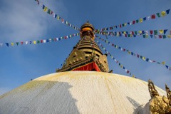 NEP_4415 Stupa og Tibetansk Bedeflag, Abetemplet i Kathmandu