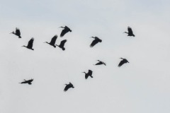 NEP_2197 Foto taget i Nepal