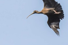 NEP_2319 Foto taget i Nepal