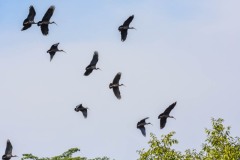 NEP_2363 Foto taget i Nepal