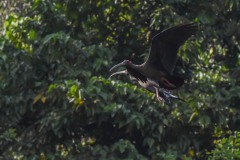 NEP_2409 Foto taget i Nepal