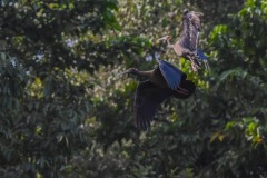 NEP_2410 Foto taget i Nepal