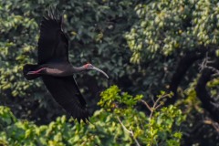 NEP_2424 Foto taget i Nepal