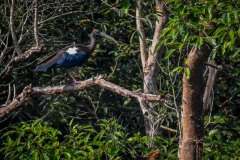 NEP_2469 Foto taget i Nepal