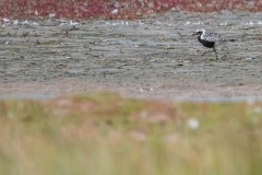 DSC6851 Foto taget ved Ølsemagle revle