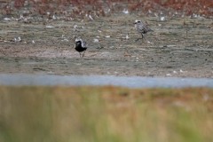 DSC6863 Foto taget ved Ølsemagle revle