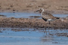 DSC7452 Foto taget ved Ølsemagle revle