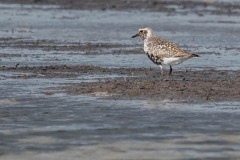 DSC7600 Foto taget ved Ølsemagle revle