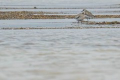 DSC_4333 Foto taget ved Ølsemagle revle